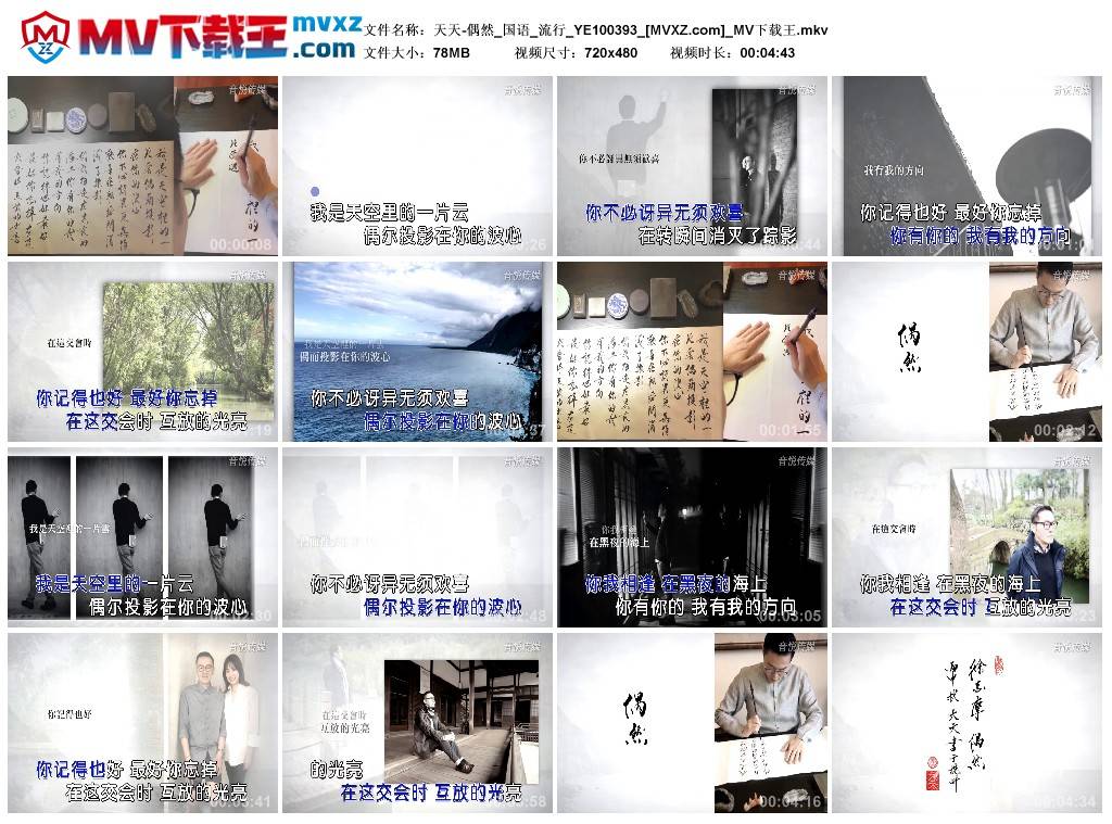 天天-偶然_国语_流行_YE100393